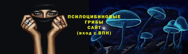 PSILOCYBIN Беломорск