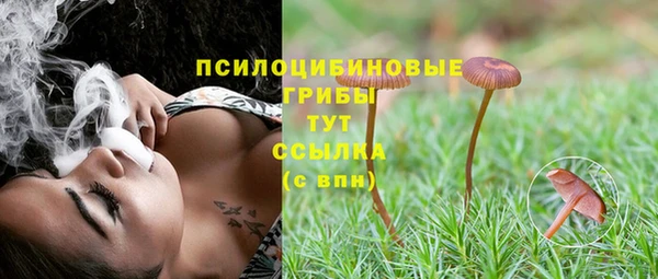 PSILOCYBIN Беломорск