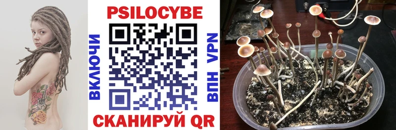 Галлюциногенные грибы Psilocybe Козьмодемьянск