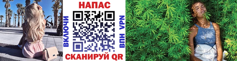 Шишки марихуана индика  Козьмодемьянск 